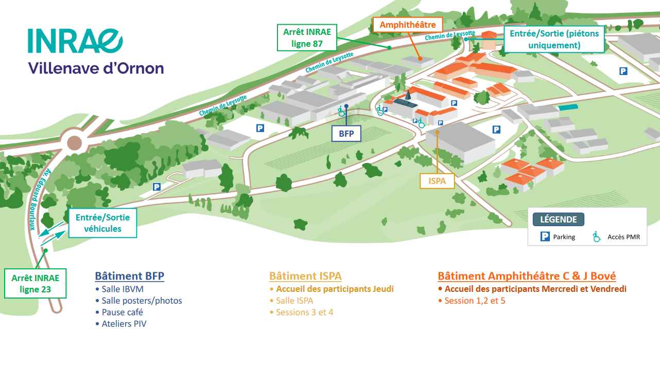 plan du centre en perspective